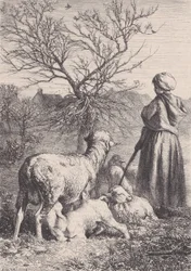 Paimentar, n. 1852.