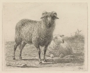 Oinas ja lampaat