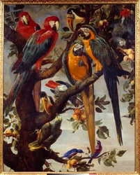 Papukaijoja ja muita lintuja. (1579-1657), 1600-luku. Mitat: 1,22 x 0,98 m. Grenoble, Musée des Beaux-Arts