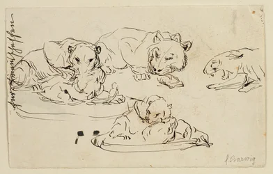 Torjuvat Sundapanthers