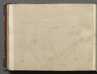 Albumi näkymistä Roomaan ja ympäristöön, Maisematutkimukset, sivu 51b: Study of a Bull.