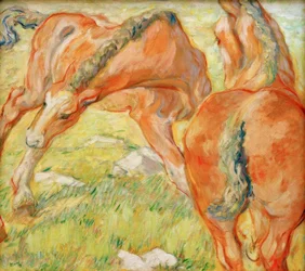 Mutterferd und Fohlen