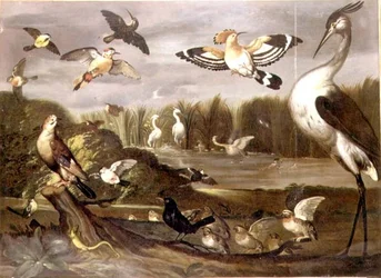 Jokimaisema, jossa on jay, stonechat, sinisorsa, västärä ja muita lintuja