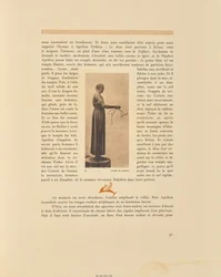 Delfoin Aurige