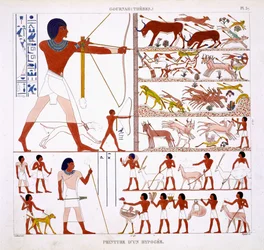 Metsästyskohtauksia harvinaisesta Theban freskojen dokumentaatiosta, jonka Frédéric Cailliaud (1787-1869) tallensi toisella Egyptin-matkallaan 1819-1822