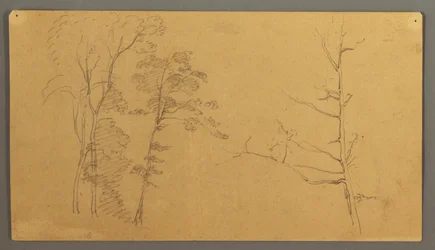 Piirros, puuryhmä, jossa kuolleen puun yläosa., 1866