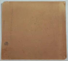 Piirustus, kasvitieteellisiä luonnoksia, mahdollisesti bambuja, palmuja ja pensaita, Ecuador tai Kolumbia, 1853 tai 1857.