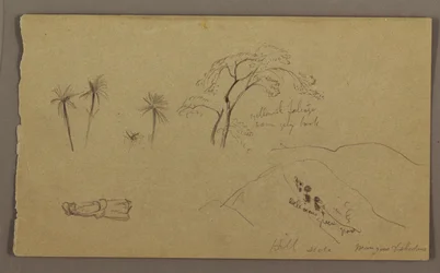 Piirustus, kasvitieteellisiä luonnoksia, luku, touko-elokuu 1865