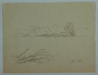 Piirustus, Kasvitieteellisiä luonnoksia: maisema, puita rannalla, syyskuu 1876