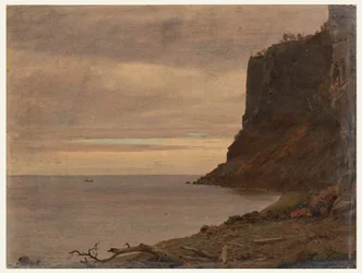 Piirros, Grand Mananin saaren rannikko, Kanada, elo- tai syyskuu 1851.