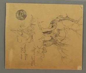 Piirros, Kuolleet puut, kasvi, mahdollisesti 1868