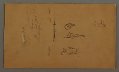 Piirustus, Hahmo-opinnot, Hahmo veneessä, kala, mahdollisesti 1868