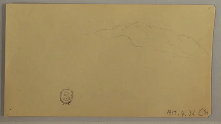 Piirros, Kukkivat kasvit, n. 1856