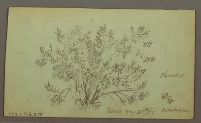 Piirustus, Miehen pää, Mies tupakoi, Purjeveneen opinnot, talo, 27. toukokuuta 1868.