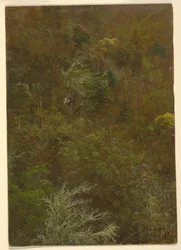 Piirros, Kukkulanrinne Pensas amp; puiden peittämä, heinäkuu 1865