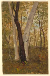 Piirros, Metsässä, Hudson, New York, lokakuu 1865.