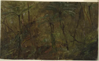 Piirros, Jamacian metsässä, Länsi-Intia, 1865.