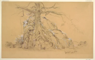 Piirros, Königssee Tree, 16. heinäkuuta 1868.