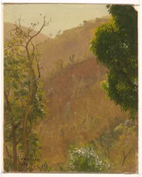 Piirros, maisema, heinäkuu 1865