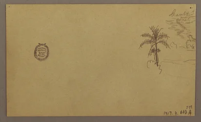 Piirros, maisema; Kääntöpuoli: Puu maisemassa, taivas, touko-elokuu 1865.