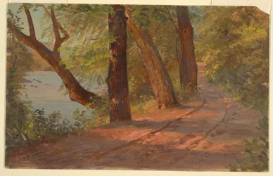 Piirros, Maisema Pohjois-Amerikasta (tie järven rannalla), n. 1875.