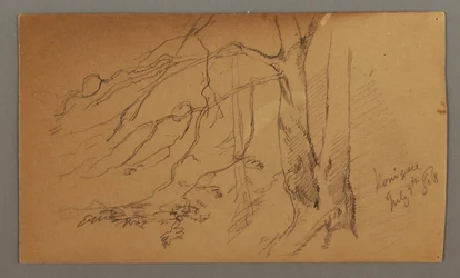Piirros, puun alaosa, 9. heinäkuuta 1868.