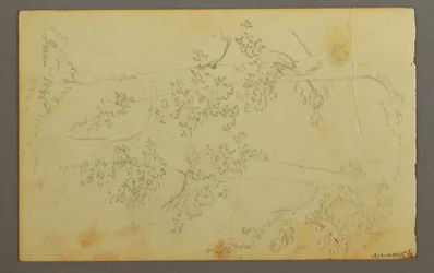 Piirros, Mylly puiden ympäröimänä, 1845
