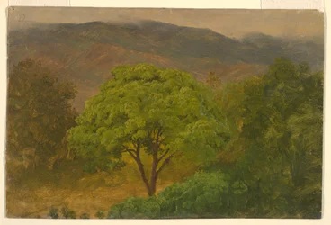 Piirros, vuoristomaisema, elokuu 1865