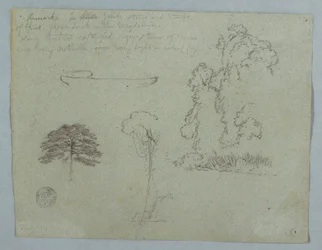 Piirustus, luontotutkimuksia Rio Magdalenasta, Kolumbia:  Puut, köynnökset ja kanootti, toukokuu 1853.