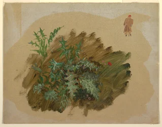 Piirustus, Kasvitutkimuksia, 1865