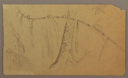 Piirros, merimaisema, 1865