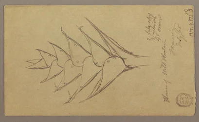 Piirros, merimaisema, 29. huhtikuuta 1865