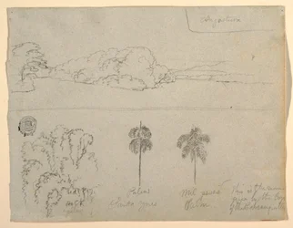 Piirustus, luonnoksia Kolumbiasta:  Kolumbia: Joen tai lahden ranta ja puita, 1853.