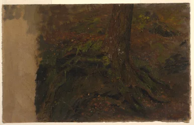 Piirros, Tutkimus puunrungosta, 1850-60