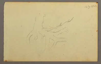 Piirros, Puun juuret, 1844