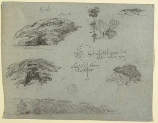 Piirros, Puut, puiden latvukset ja metsäinen ranta, Saddleback, Maine, 1853