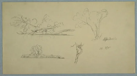 Piirros, Puut, ranta, jossa on pensaita ja puita, syyskuu 1876.