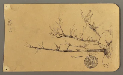 Piirros, Puut, lohkareet, 1878