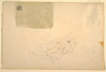 Piirros, Kaksi kättä vapisee, puun juuret, syyskuu 1844.