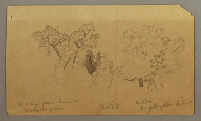 Piirustus, Kaksi puustotutkimusta, lokakuu 1865