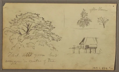 Piirros, Näkymä Guayaquiliin, Ecuador, 23. toukokuuta 1857.