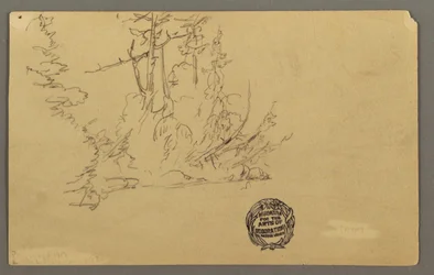 Piirros, Metsäinen ranta, mahdollisesti 1877