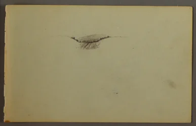 Piirros, Metsäinen notkelma auringonlaskun aikaan, mahdollisesti 1844