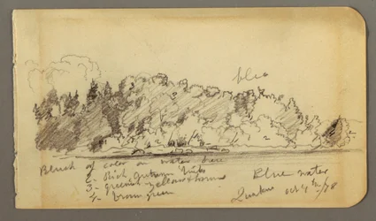 Piirros, Metsäinen ranta, vesi, 1878