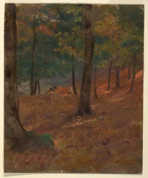 Piirros, metsäkuva, 1870-80