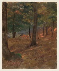 Piirros, metsäkuva, 1870-80
