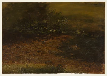 Piirros, Metsäpuro Catskillsissä, syyskuu 1848.