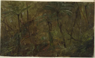 Metsässä, Jamaikalla