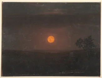 Kuutamo