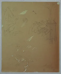 Nature Studies, Blue Mountains, Jamaika